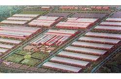 China Prepainted Aluminum Coil manufacturer