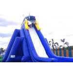 Backyard Dry and Wet Slides With Silk - Screen Printing  / Inflatable Pool Slide