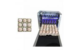 China Usb Flash Automatic Egg Stamping Machine Label Logo Print For Egg Owner supplier