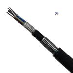 Anti Rodent Double PE 2-144 Core G652D Direct Buried  Fiber Optic Cable GYTA53 GYTS53 for sale