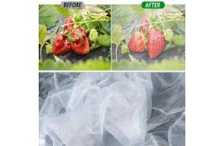 China Durable And UV Resistant Garden Insect Protection Netting For Plants from Birds supplier