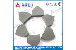 China ISO9001 2008 Custom tungsten carbide  tip for Coal drill piece supplier