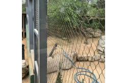 China 2mm Flexible Stainless Steel Wire Rope Mesh Zoo Aviary Netting supplier