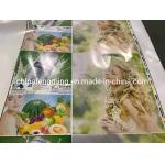 Automatic Grade Automatic Flexo Plastic BOPP Printing Varnishing Machine for Output for sale