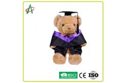 China ASTM Stuffed Teddy Bear Graduation supplier