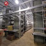 H Type Layer Chicken Cage Fully Automatic 195*230*150 For Poultry Farm for sale