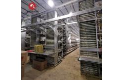 China Poultry 90 Chickens / Set Layer Chicken Cage For Chicken Feeding supplier