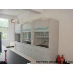 Commercial Exhaust Laboratory Fume Hood Multifunctional Rustproof for sale