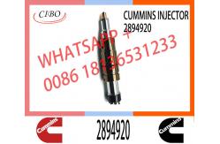 China Diesel Fuel Injector 2872405 5579417 2894920 5579415 For Cummins supplier