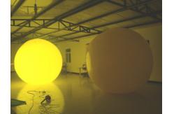China LED Giant Inflatable Mushroom supplier