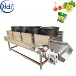 Continuous Vegetable Fruit Dryer Machine , Food Dehydrator Machine Conveyor Belt Width 600mm for sale