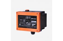 China F20-2S Electric Hoist Remote Control Mini Industrial Electric Hoist Wireless Remote supplier
