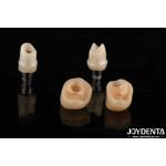 Silver Color Dental Zirconia Abutments For Implants Customizable Diameter for sale