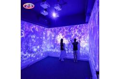 China Seamless Blending Immersive Holographic Display Giant Canvas Projection Mapping supplier