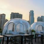Transparent Clear PC 6m Geodesic Dome House Igloo With Aluminum Frame for sale
