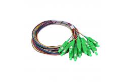China 12 Cores Fiber Pigtail Sc supplier