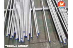 China ASTM A213 TP444 Seamless Heat Exchanger Tubes supplier