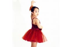 China Children'S Tutu Skirts Wine Red Sequin Bodice Dress Matching Flowers Trim Hairpiece supplier