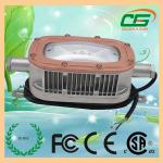 IP68 AC 250V 30 Watt LED Explosion Proof Light 78 Ra CSA With American CREE LED for sale