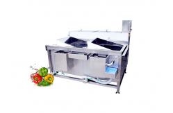 China SS304 Material Automatic Vegetable Fruit Washing Machine supplier