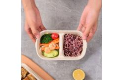China Take Away Compostable Sugarcane Container Lunch 2 Compartment Food Containers supplier