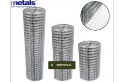 China 14x14 14 16 17 18 Gauge 1x2 Galvanized Welded Wire Mesh supplier