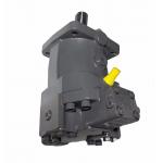 China Made Rexroth Series Hydraulic Piston Motor A6VM AA6VM China Made AA6VM107HD2/63W-VSD520 for sale