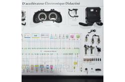 China Car Educational Equipment Of Engine Electrical Control System supplier