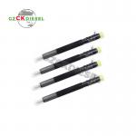 New Common Rail Fuel Injector EJBR05301D F50001112100011 for Engine YC4F-2008