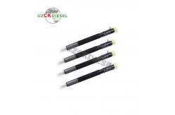 China New Common Rail Fuel Injector EJBR05301D F50001112100011 for Engine YC4F-2008 supplier