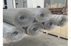 China New Product Welded Wire Mesh Fence 4x4 11 Gauge supplier
