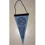 150D Polyester Advertising Sports Pennant Flag Triangle Shape for sale