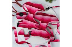 China Neoprene Breathable Dog Walking Kit Flora Puppy Leashes Harnesses supplier