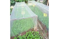 China Plastic Garden Netting For Plant Vegetables And Fruits  supplier