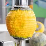 Cantaloupe Pumpkin Peeler Machine , Taro Peeling Machine 2 Head Work Circularly Industrial