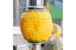 China Cantaloupe Pumpkin Peeler Machine , Taro Peeling Machine 2 Head Work Circularly Industrial supplier