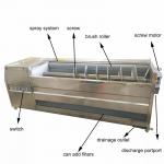 High Productivity Potato Chips Making Machine Small Scale for Food Industry for sale