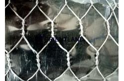 China 20G Fox Proof Chicken Wire Netting 36 Inches 150 Feet Consistant Appearance supplier