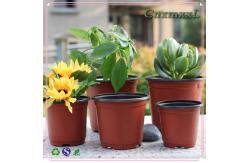 China good quality plastic PP agar-agar pot flower pot in low price supplier