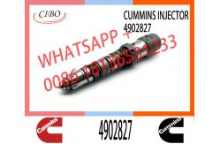 China QSK23 Diesel Common Rail Fuel Injector 4902827 4062090 4077076 4088431 4076533 supplier