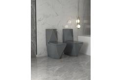 China Siphon Flushing Button Sanitary Ware Toilet One Piece P Trap S Trap supplier