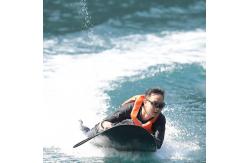 China Water Sports Equipment Enjoy Wonderful Surfing Experience With Petrol Surfboard Charger supplier