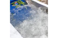 China 3KW Bubble Circulating Surfing Fruit And Vegetable Washing Machine Ozone Sanitization Bubble supplier