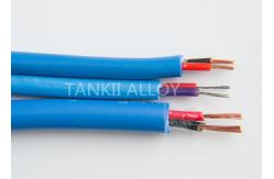 China Extension Insulated Thermocouple Cable Solid Shape For Temperature Measurement supplier