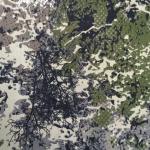 Cotton Twill Woodland Camouflage Fabric Rotary Screen Printing for sale