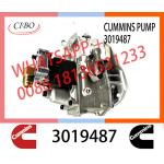 Genuine Diesel Fuel Injection Pump 2048809 3019487 3059657 For Cummins NT855