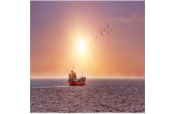 China International Sea Freight Forwarding DDP From China To Indonesia supplier