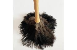 China Soft Cleaning Microfiber Duster Ostrich Feather Duster Long Handle Furniture supplier
