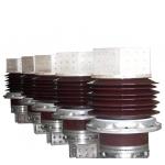 BFW-24/16000-4 24kV Bushing Assembly For Power Distribution for sale