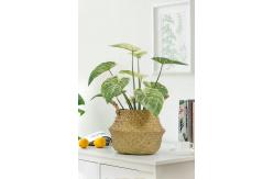 China Ornamental Small Items Artificial Potted Floor Plants Philodendron Birkin supplier